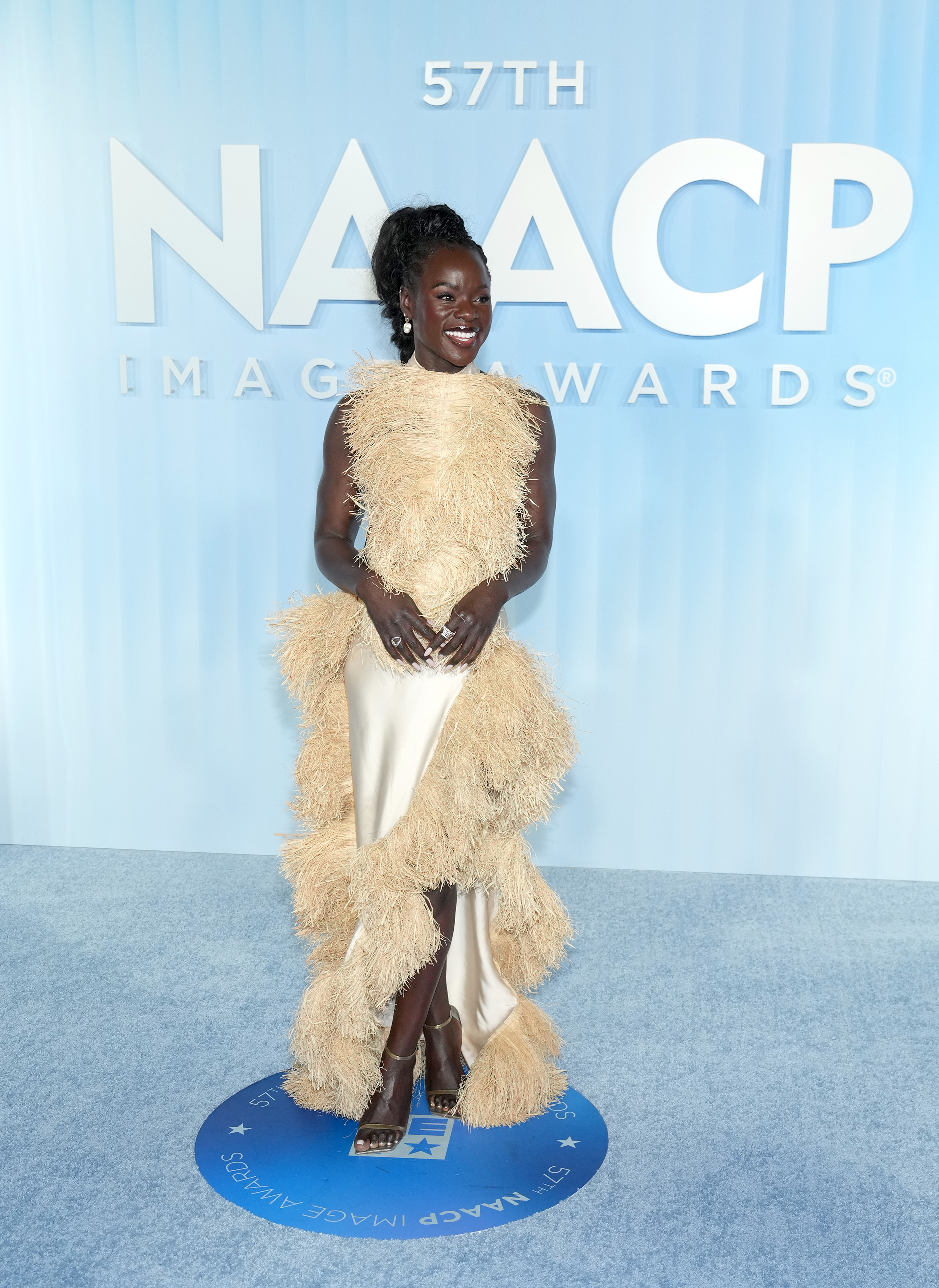 NAACP Image Awards Red Carpet