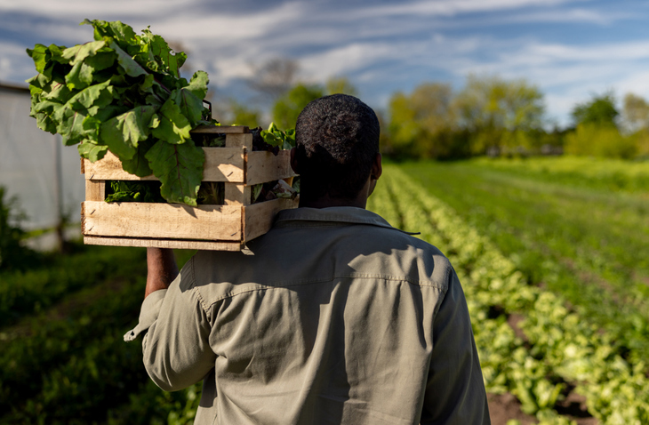 Black Farmers