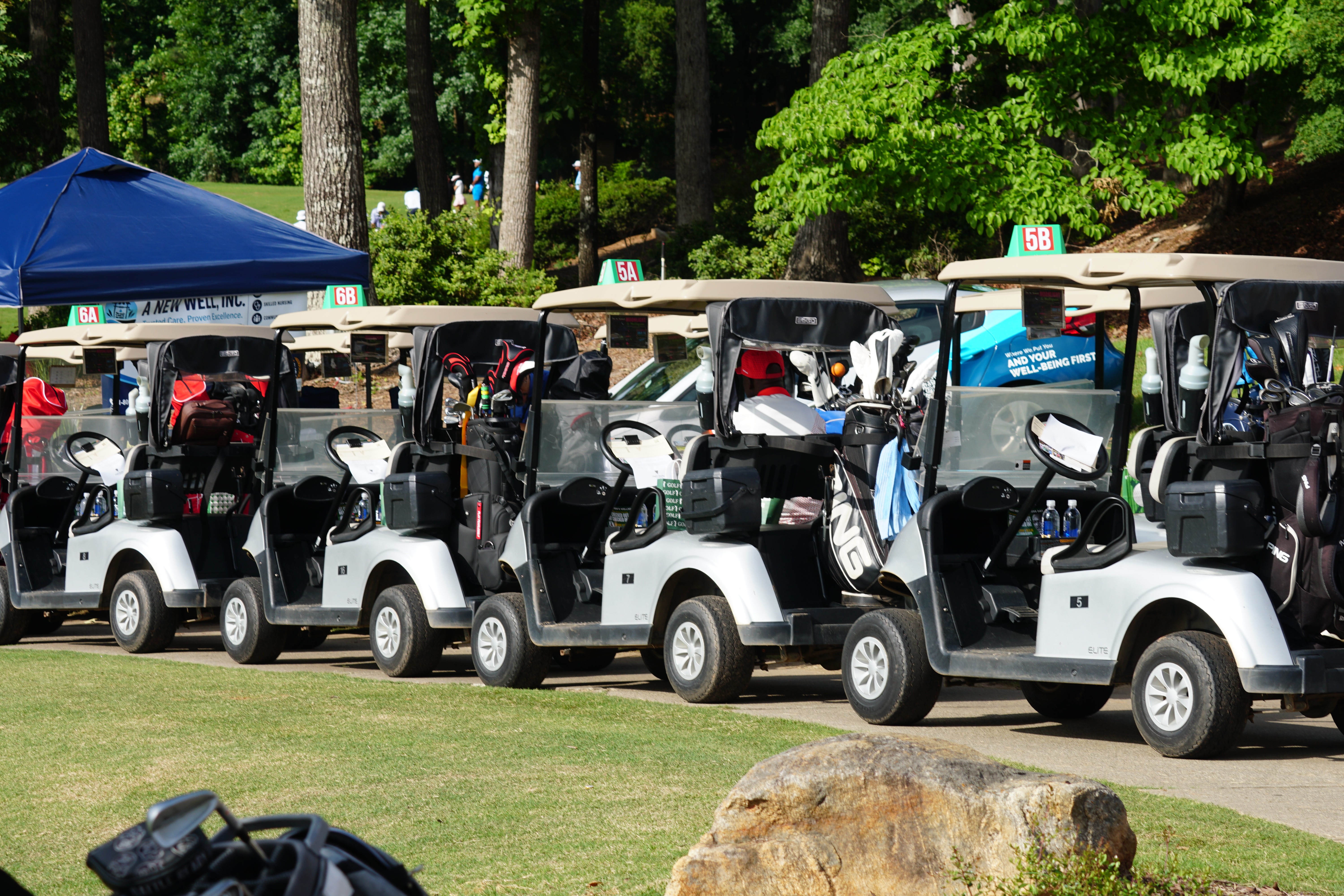 A row of golf carts parked on a grassy field surrounded by trees in a wooded area.