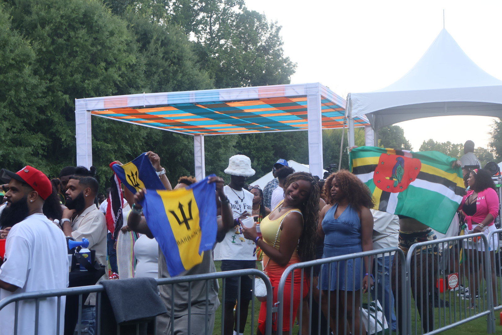 Crowd of people at an outdoor event, some holding flags and banners, with a colorful canopy overhead.