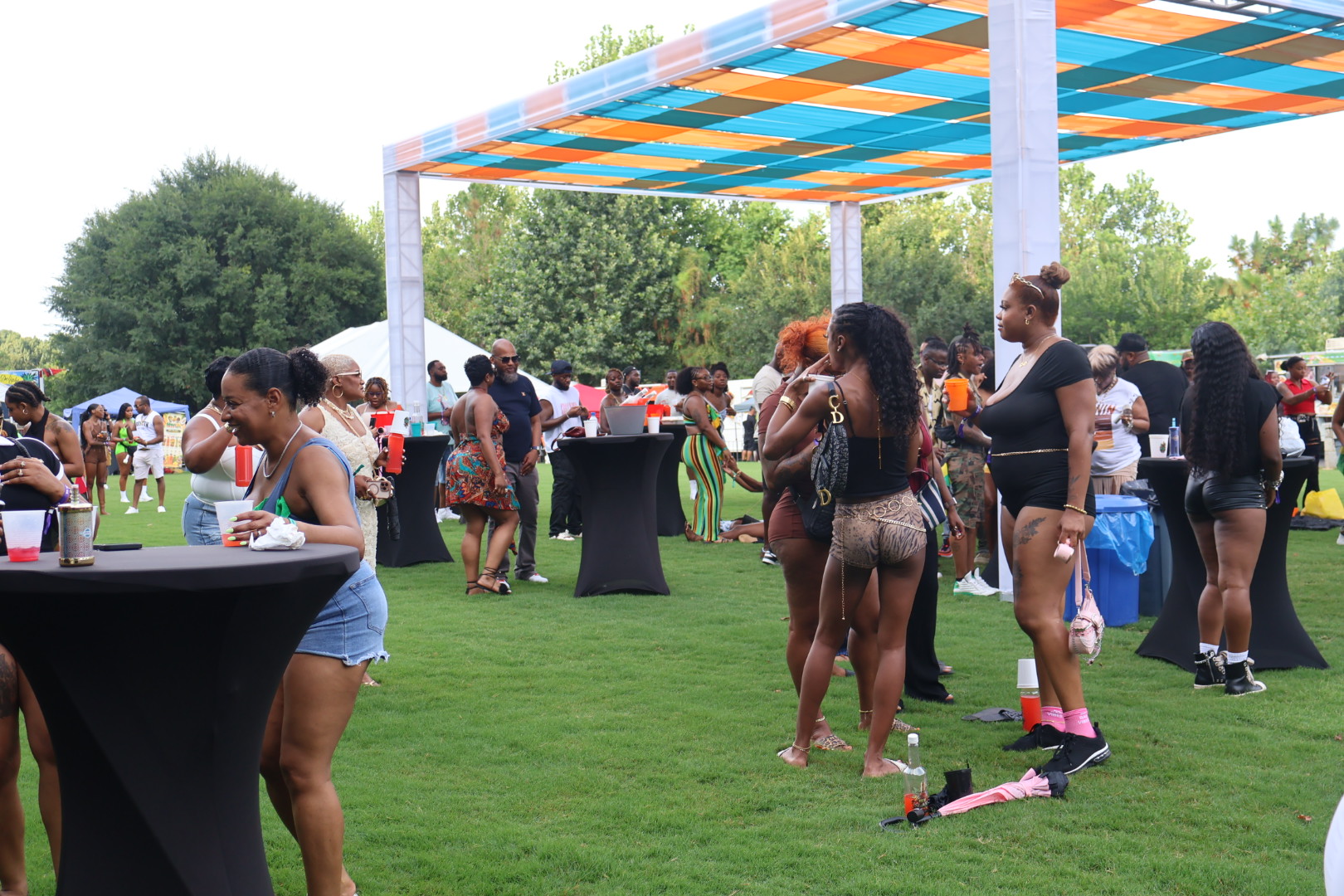 Outdoor event with a colorful canopy, people socializing and enjoying the festivities on the grass.